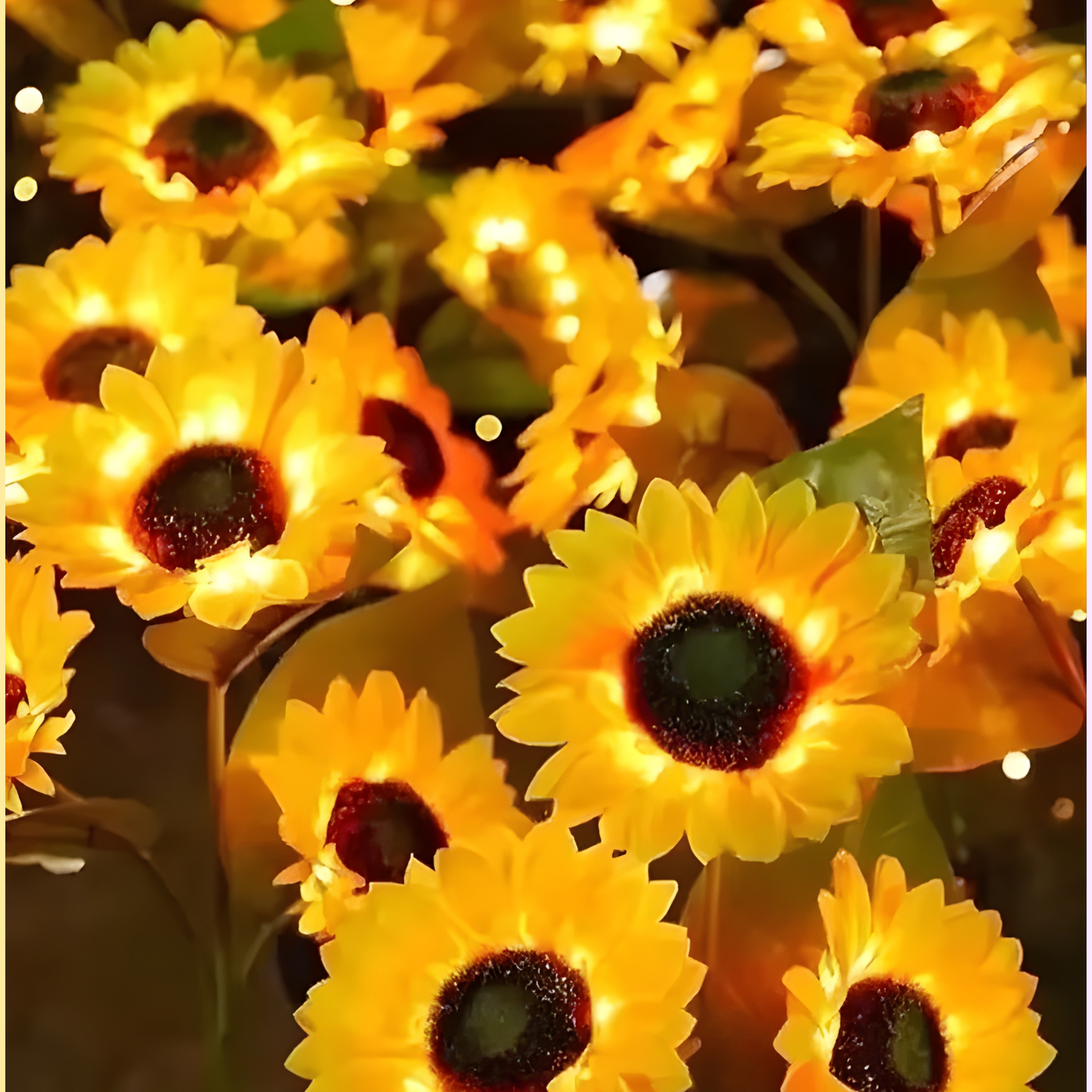 Luz Solar de Girasol
